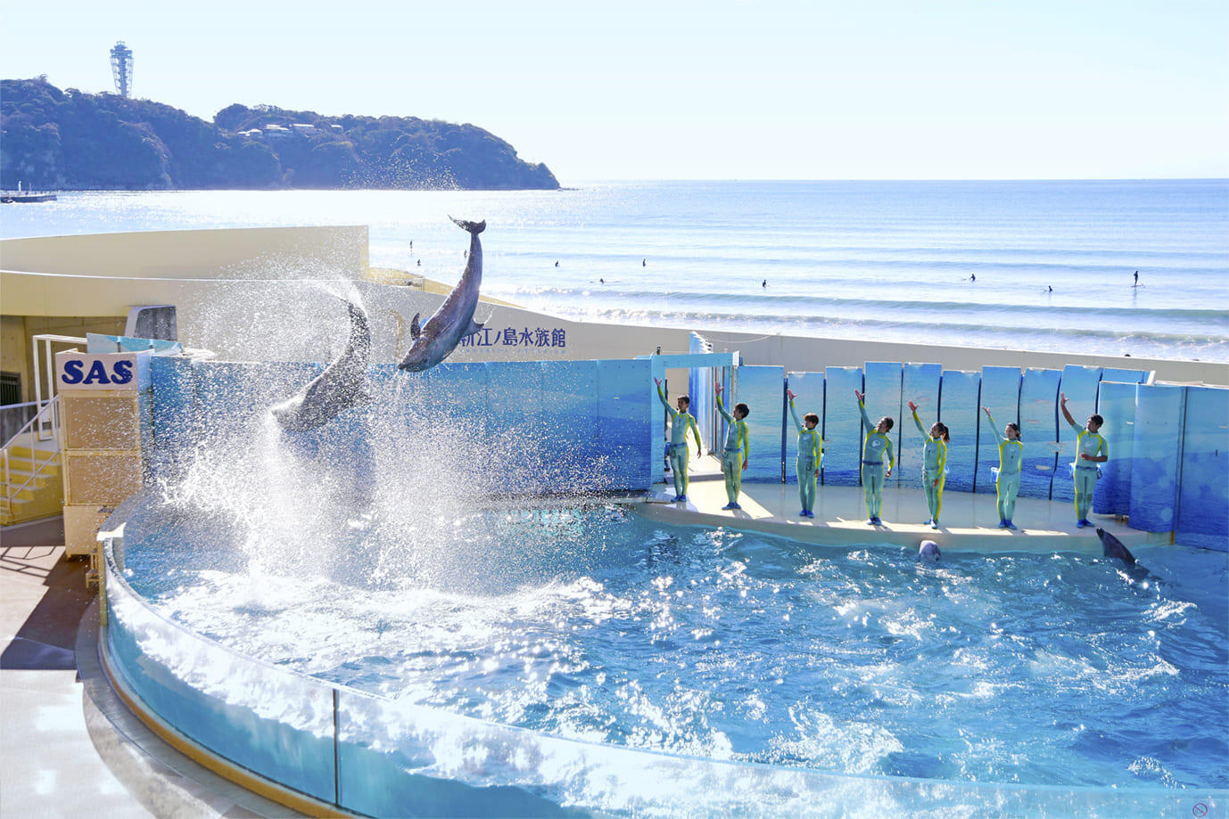 新江ノ島水族館